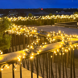 Top-Line Energy LED cluster light chain supplement set 300 lights, Sirius Home