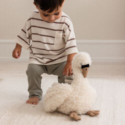 Swan activity toy, Sebra