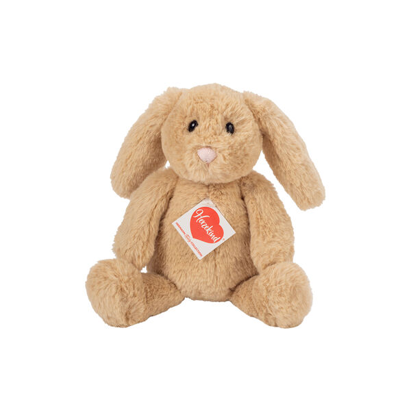 Anny the Rabbit, Teddy Hermann