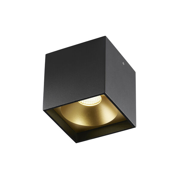 Solo SQUARE Ceiling Lamp, black/gold, LIGHT-POINT