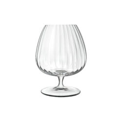 Optica Cognac Glasses 4 pcs, Luigi Bormioli