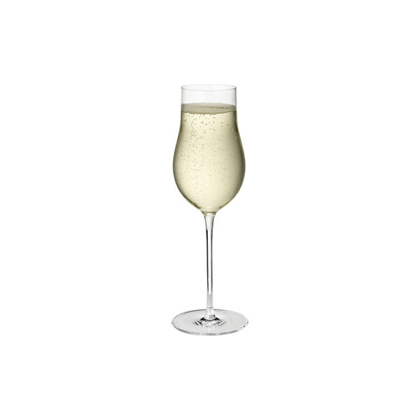 Sky Champagne Flute 6 pcs Sky Champagne Flute 6 pcs, Georg Jensen
