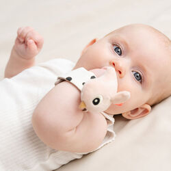 Happy Clouds Wrist Rattle Set 2-pack, powder, Done by Deer