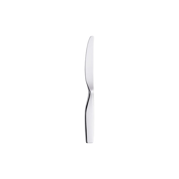 Citterio 98 dessert knife, mirror, Iittala