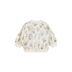 Daphne Cardigan, primavera, Molo