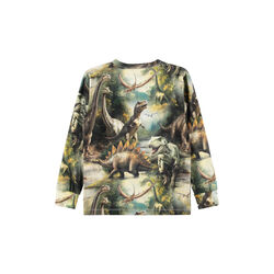 Rill T-shirt, dino harmony, Molo