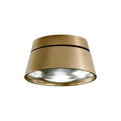 VANTAGE 1+ Spotlight, brass, LIGHT-POINT