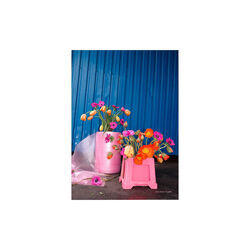 Wrapping Around, Poster & Frame