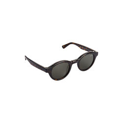 Noble Sunglasses, classical havana, AY Studios