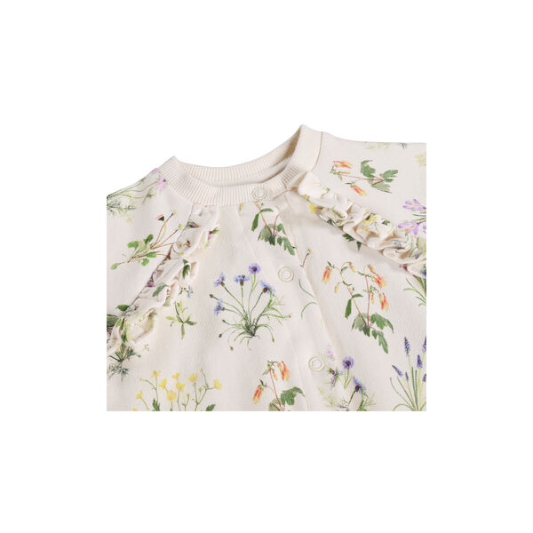 Daphne Cardigan, primavera, Molo