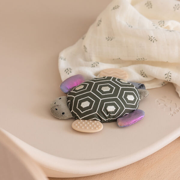 Turbo the Turtle Activity Rattle with Mirror Turbo the Turtle Activity Rattle with Mirror, Sebra