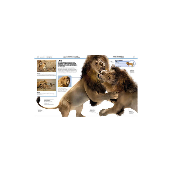 Familiens store bog om dyreriget Familiens store bog om dyreriget, Forlaget Globe