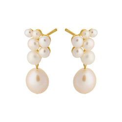 Ocean Treasure earrings, gold plated, Pernille Corydon Jewellery