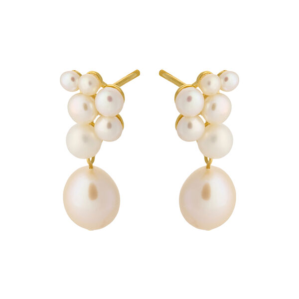 Ocean Treasure earrings, gold plated, Pernille Corydon Jewellery