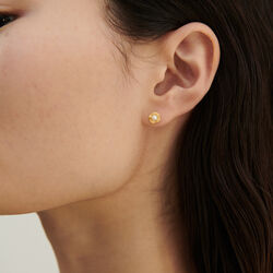 Island Earstick, Sorelle