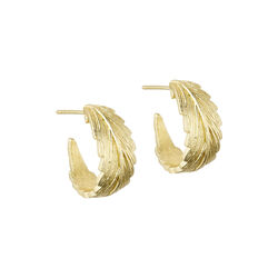 Linn wide hoops, gold plated, Pure by Nat