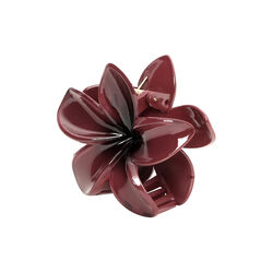 Plumeria Berry Big, burgundy, SUI AVA
