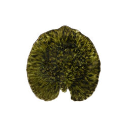Riviera Plate Lily Pad, dark green, Costa Nova