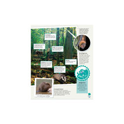 Børnenes illustrerede dyreatlas, Forlaget Globe