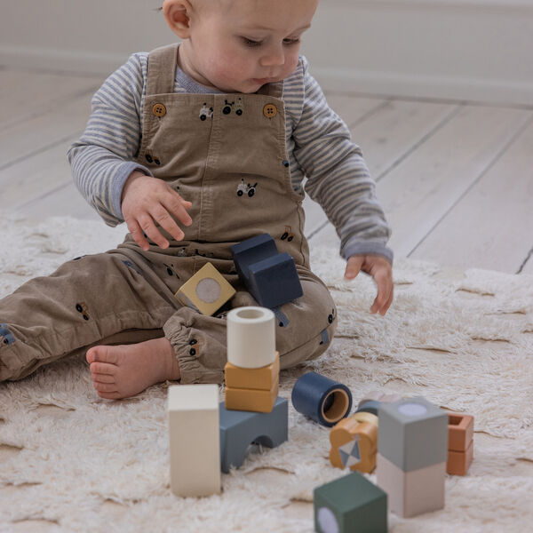 World of Sebra Magic Blocks Box, Sebra