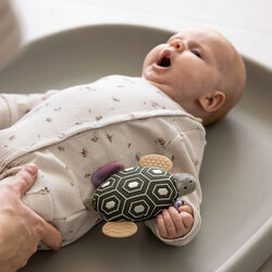 Turbo the Turtle Activity Rattle with Mirror, Sebra