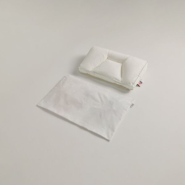 Cover for Chiropractic Large, Nordic Sleep by Fossflakes