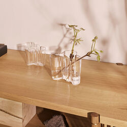 Alvar Aalto Vase, Iittala