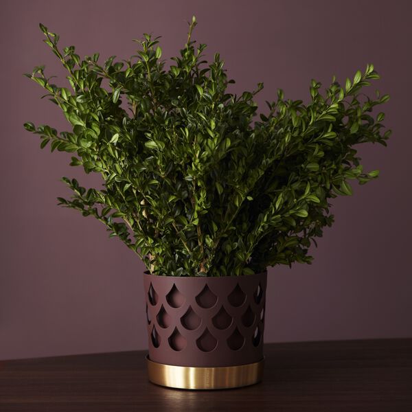 Trio Drop Flowerpot Medium, Klong