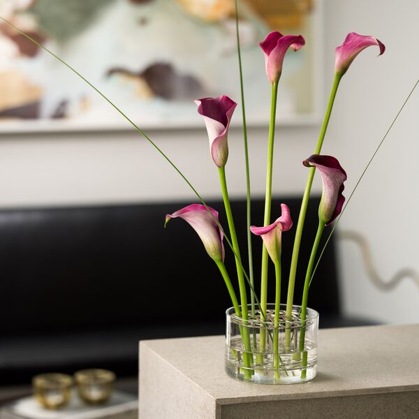 &Auml;ng Vase Small, Klong