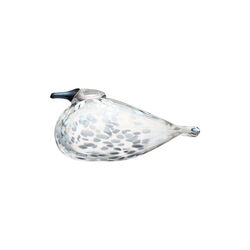 BBT Snow Finch, Iittala