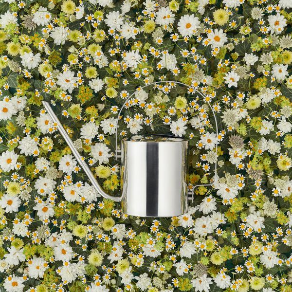 Original Flower Watering Can Original Flower Watering Can, Stelton