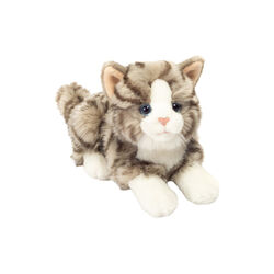 Lying Cat, Teddy Hermann