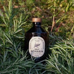 Organic Syrup - Rosemary, Bacanha