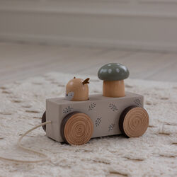 Woodland Pop-up Pull-along Toy, Sebra