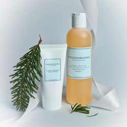 Bath & Shower Ginger Set, Tromborg