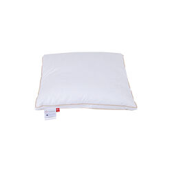 The Swineherd Pillow, Ringsted Dun