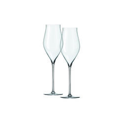 Notes Champagne Glass 2 pcs., Holmegaard