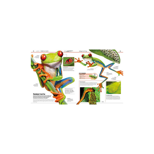 Familiens store bog om dyreriget Familiens store bog om dyreriget, Forlaget Globe