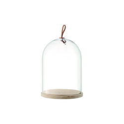 Ivalo Dome, LSA International