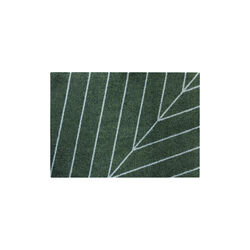 Eine Noon Doormat, Heymat