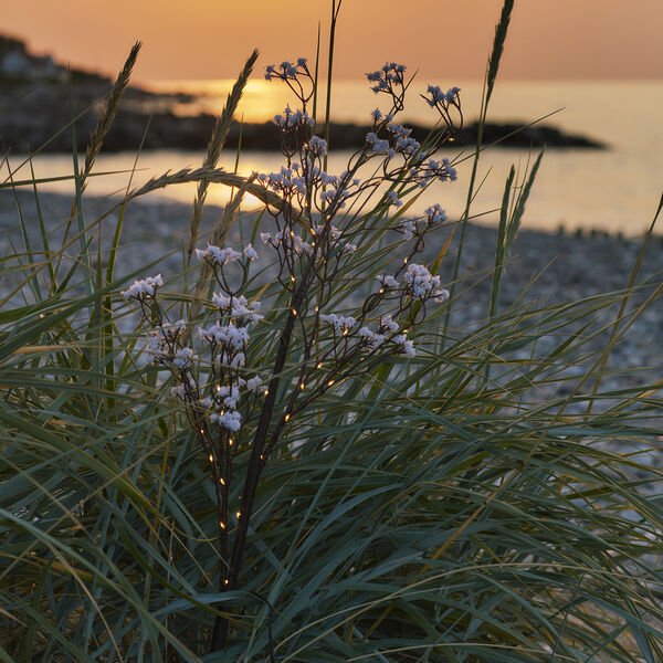 Michel Flower Branch, 45 LED, Sirius Home