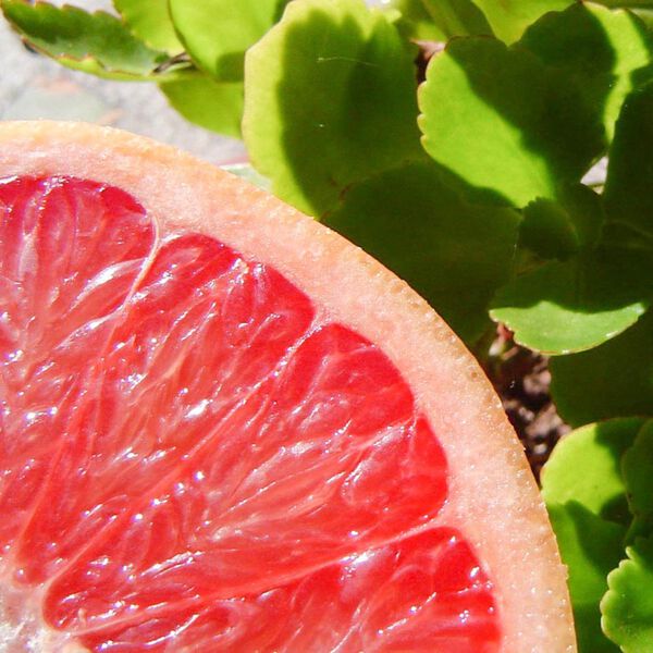 Solid perfume - Pink grapefruit No. 33, Single Flowers Perfume