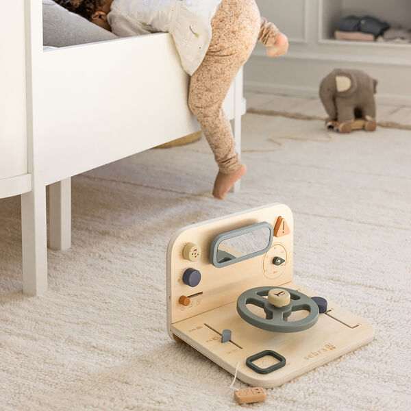 Car Activity Panel Car Activity Panel, Sebra