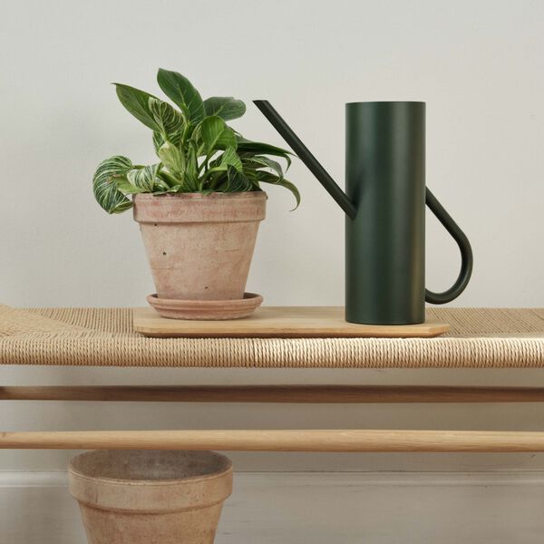 Bloom Flower Watering Can, pine, Stelton