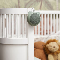 Roar Bluetooth speaker, dusty green, Kreafunk