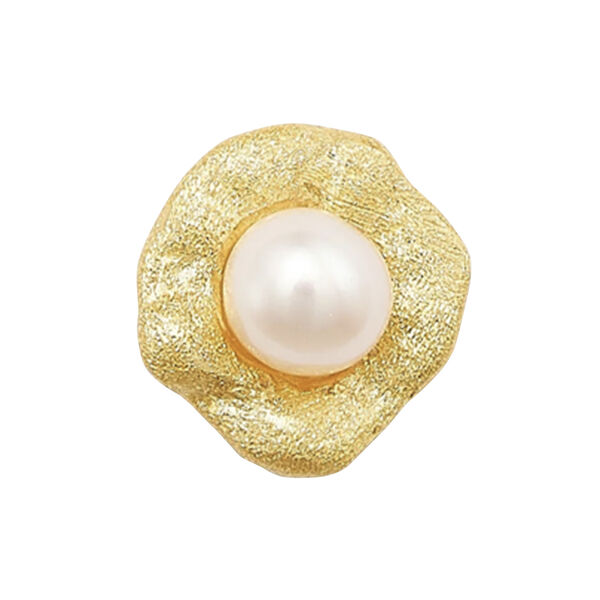 Island Earstick Island Earstick, Sorelle