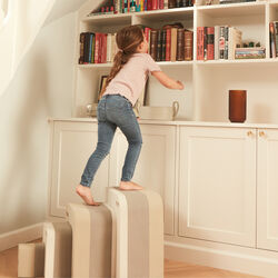 Anteater, sand grey, bObles