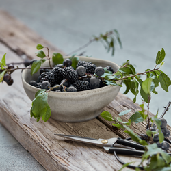 Bowl, HDMore, Grey, House Doctor