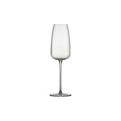 Veneto Champagne Glass 2 pcs, Lyngby Glas
