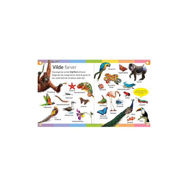 Dyreleksikon for de yngste, Forlaget Globe